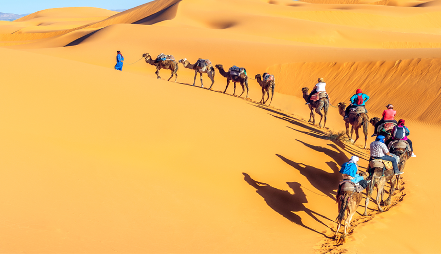 Camel Ride in Sahara Desert